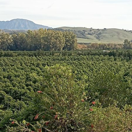 Los Dos Cedros San Pablo エクステリア 写真