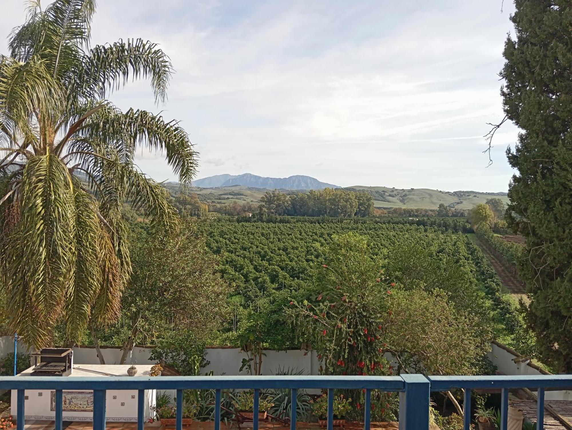 Los Dos Cedros San Pablo エクステリア 写真