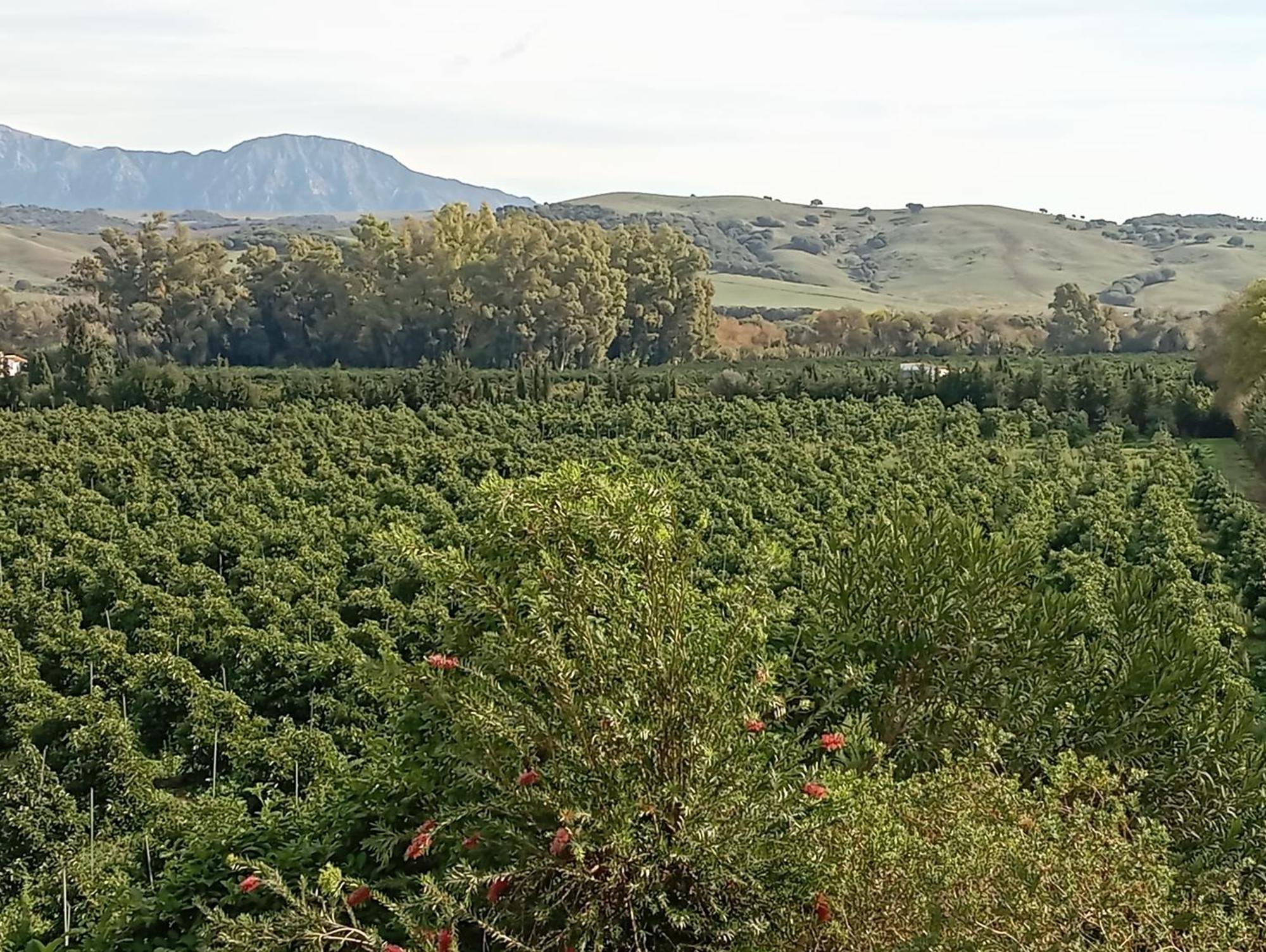 Los Dos Cedros San Pablo エクステリア 写真